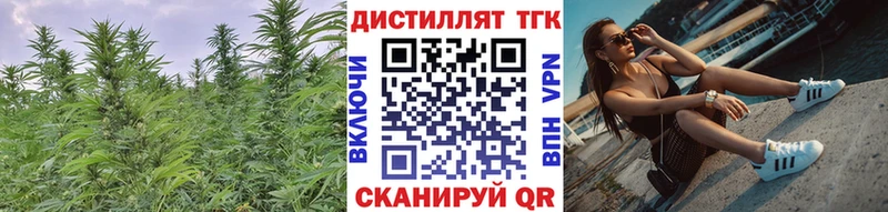 ТГК THC oil Курчалой