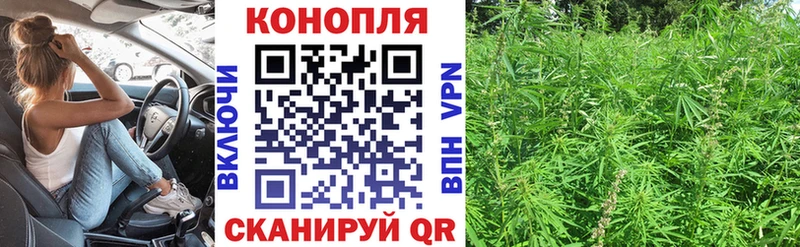 закладка  Курчалой  Бошки Шишки THC 21% 